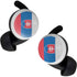 Slovakia Flag Distressed Google Pixel Buds Skin